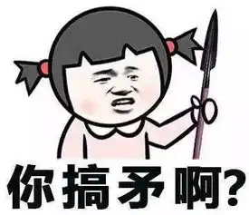 堆糖,美好生活研究所