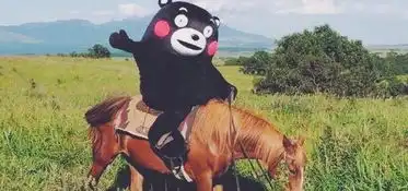 抠脚少女歌手网易云音乐