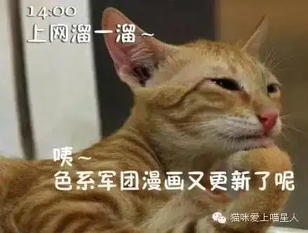上班的第一天,喵星人的状态是这样的