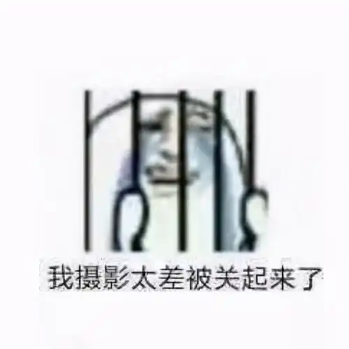 来自摄影君的愚人节搞笑放送摄影爱好者专属表情包