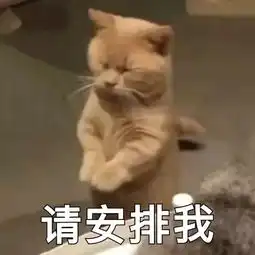 斗图表情包合集斗图没有这些表情包,还斗个锤子