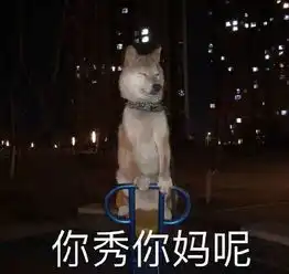 每日表情丨小哥哥上车吗
