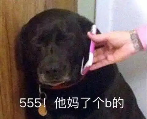 近期火起来的表情包