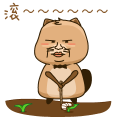 狸查德动态qq表情图片