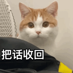 就你妈斜门没门第240期喵表情