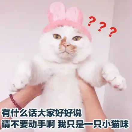 一组可爱猫咪表情包