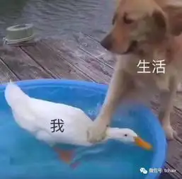 小玩意帮大忙,1秒解决头发稀疏出油白发扁塌