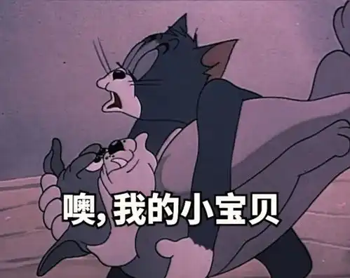 幽默搞笑表情包啊,我的小宝贝