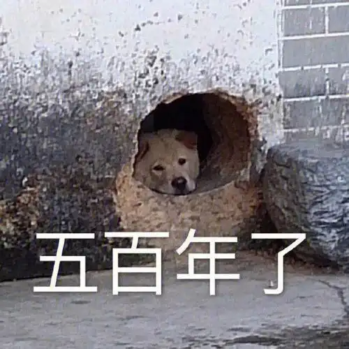 测试一个超长简介的文章