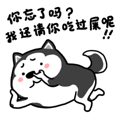 二哈萌柴微信表情包