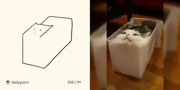 没有谁能躲过灵魂画手猫咪也不例外