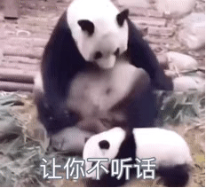测试一个超长简介的文章