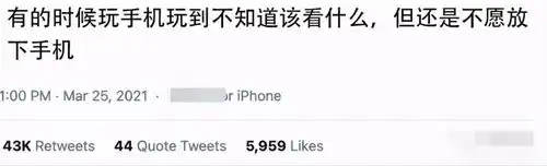 猫猫为了吃的能有多搞笑表情过于妩媚,哈哈