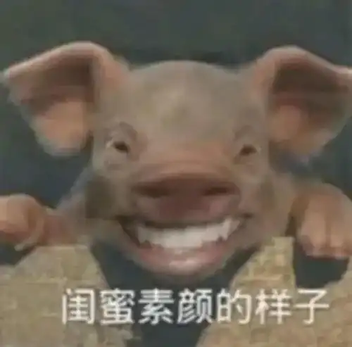 搞笑表情包i闺蜜素颜的样子