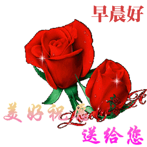 夏季早晨好问候语动态图片表情大全早晨好阳光表情包