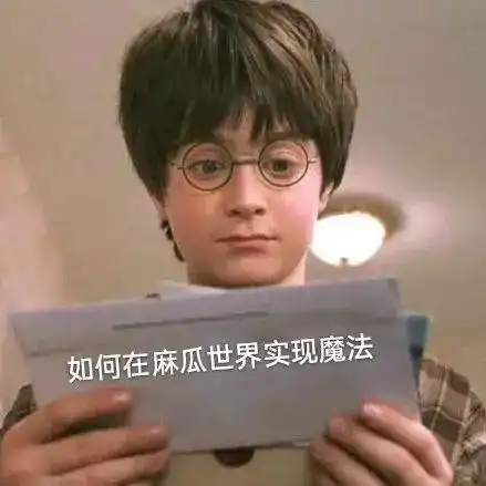 为什么这两年哈利波特的联名这么多