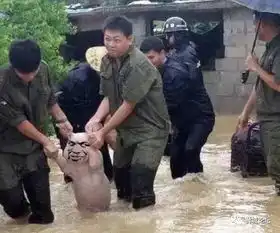 那只从台风中救出来的猪,被恶搞成表情包了,哈哈哈哈哈哈哈哈哈哈哈..