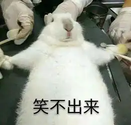有了龙族幻想,这辈子我都要靠脸吃饭