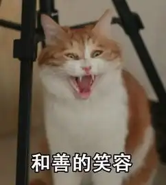 这些个表情包,就算不存,看一眼也会笑出声