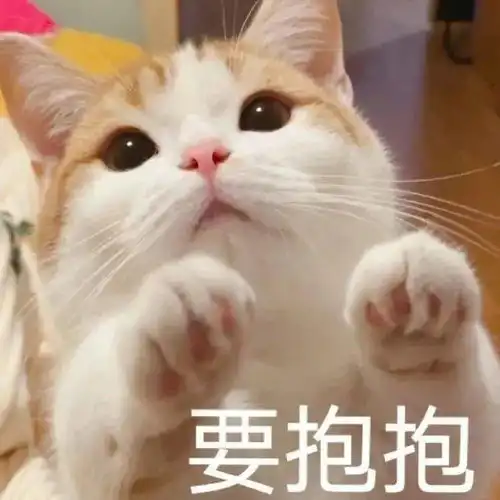 要抱抱表情包