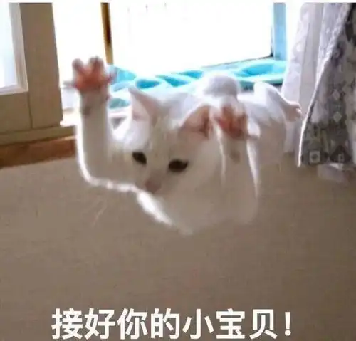 表情包亲我一口可以不