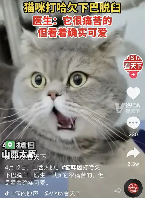 我的收藏