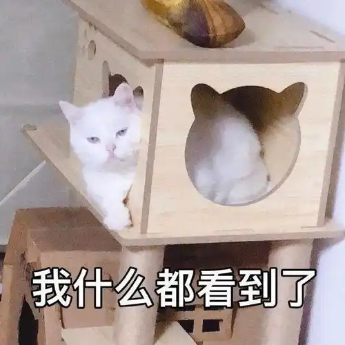 日常沙雕搞笑表情