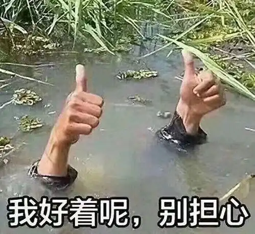 喜欢华神宇的走这边