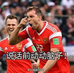 世界杯首轮过后,各小组成员的表情包爆笑来袭哈哈哈