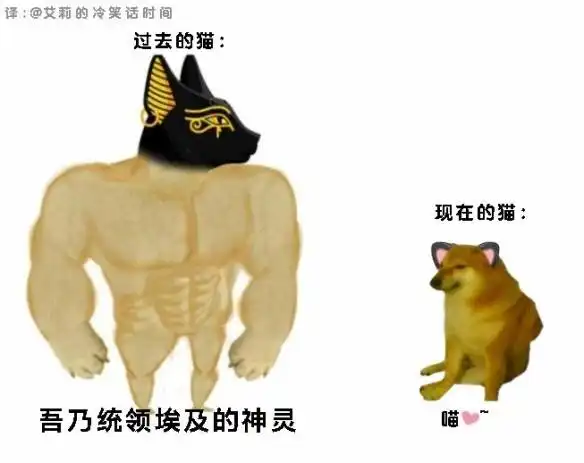 肌肉柴犬与小废柴梗图走红爆笑内容引网友疯狂流传