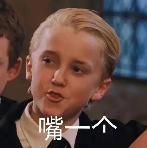 哈利波特表情包今天不学习明天变垃圾