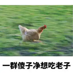 斗图表情包精选20171130