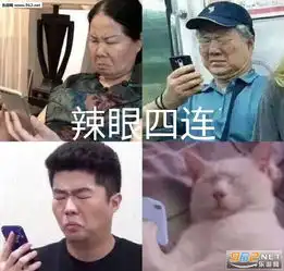 举手同意海绵宝宝派大星同时举手图片我蝴蝶结没掉吧表情包图片下载乐游网游戏下载