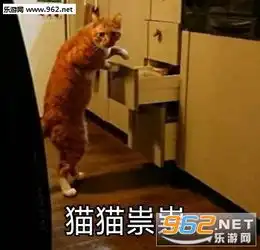猫猫祟祟表情包围观戏精表情包图片下载乐游网游戏下载