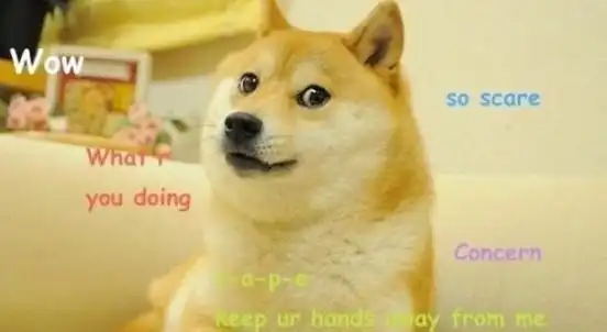 doge是什么意思