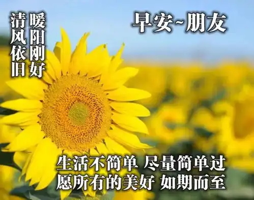 重阳节清晨早上好问候祝福动态表情图片早安问候语动态图片表情