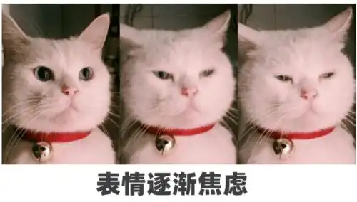 最新幼儿园即将开学,这10项技能孩子必须掌握,再不开始就晚了