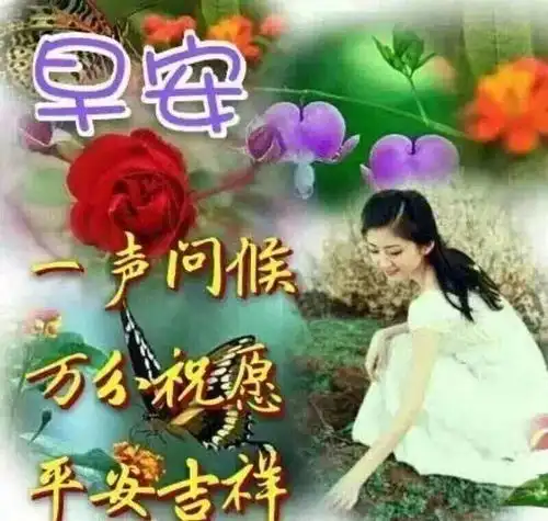 懂你的人,一生难求,早安