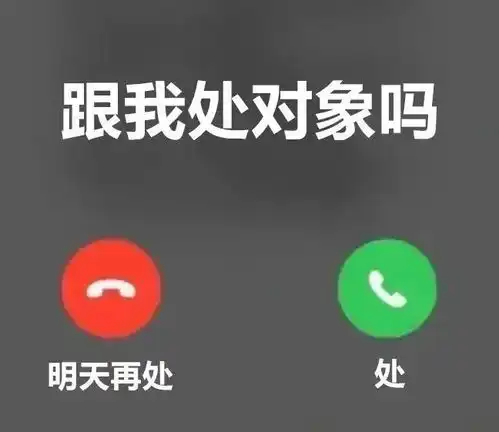 轻松一刻午间版做鸡很难,但你以为做鸭就容易吗