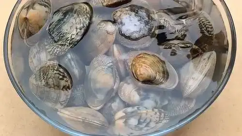 隔着屏幕都能流口水的花甲粉丝,还在等什么,快点学起来吧