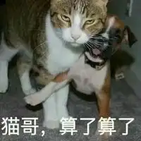 最新一组算了算了的搞笑表情包天气太热了算了算了