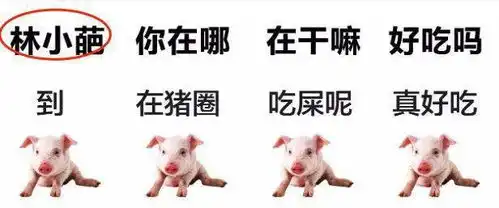 恶搞与猪对话表情包,笑死我了