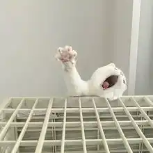 考生画了一个表情包,评卷老师被气吐血同学画画,我们是认真的,绝不是搞笑的...指数