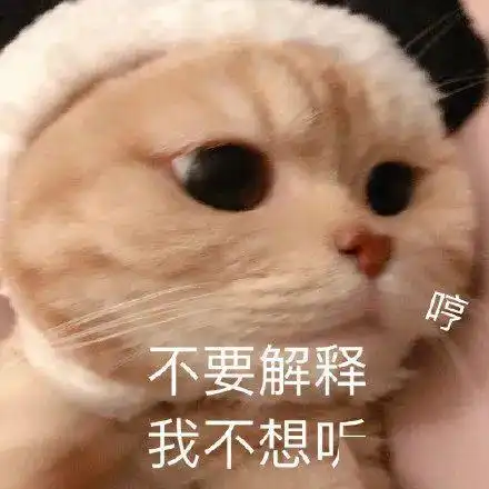 你说什么我听不见