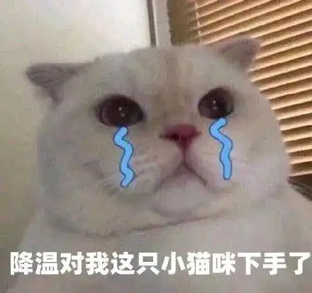 冻哭警告9跨年将遇霸王级寒潮预警淮北发布紧急通知