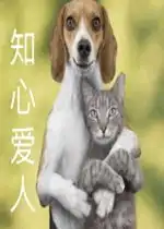 舔狗别出声表情包知心爱人猫狗表情包下载乐游网游戏下载