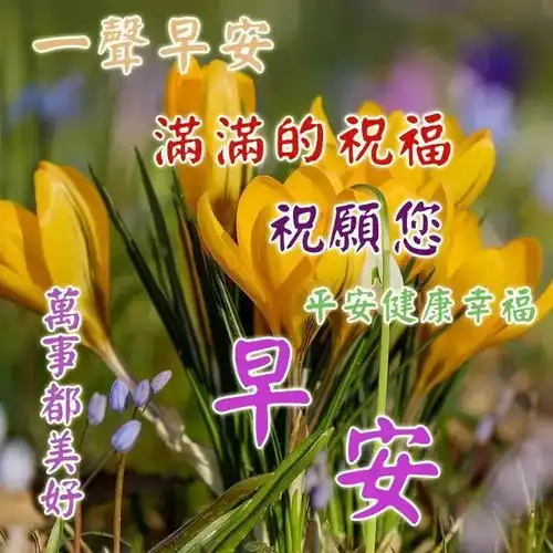 周一问候语每日问候语早安最新早上好问候语
