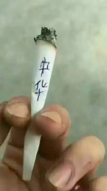 小伙子,我那么尽力帮你,你怎么能恩将仇报呢