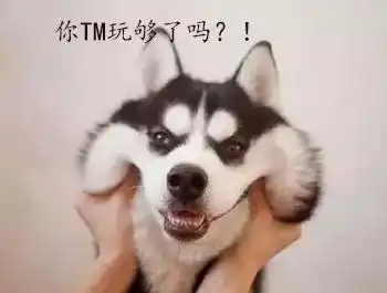 二哈搞笑表情包大合集看了三遍,笑了200次