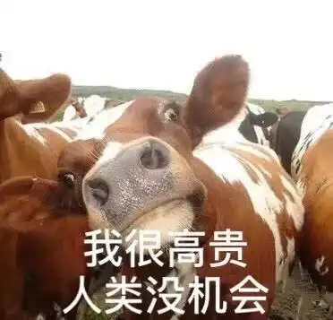 中国人为什么这么爱吃猪肉
